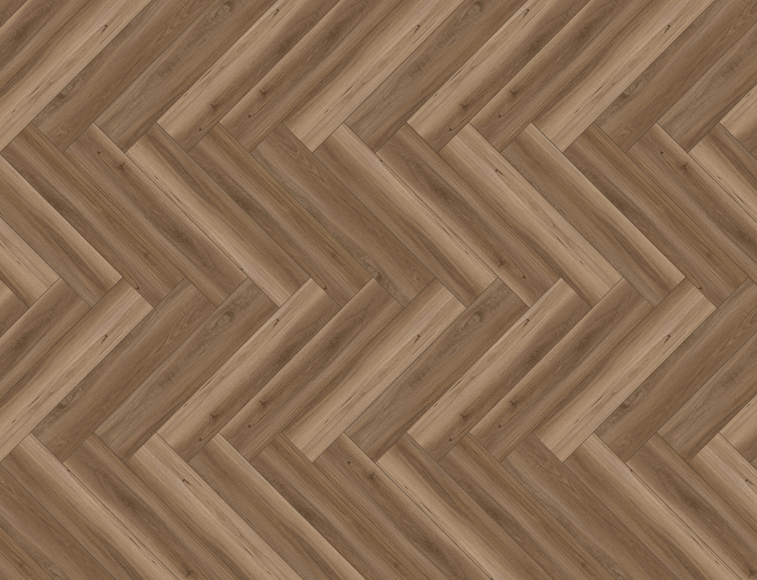 AU Spotted Gum - Image 2